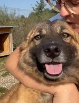 ❤️Flotter Rem sucht Spaß&Liebe❤️ - Eislingen (Fils)
