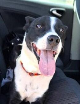 Cole kennt die Tiefen des Lebens - Mettmann