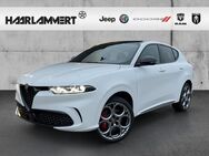 Alfa Romeo Tonale, Tributo italiano, Jahr 2024 - Hasbergen