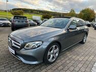 Mercedes-Benz E 350 d PANO LEDER NAVI WIDES DISTR AHK 360° KAM - Simmozheim