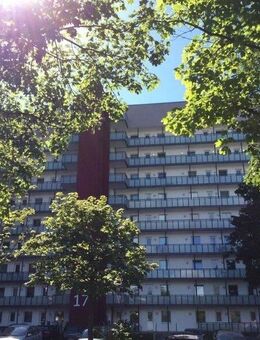 Gelegenheit: interessante 3-Zimmer-Wohnung - Elmshorn