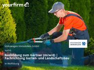 Ausbildung zum Gärtner (m/w/d) | Fachrichtung Garten- und Landschaftsbau - Wolfsburg