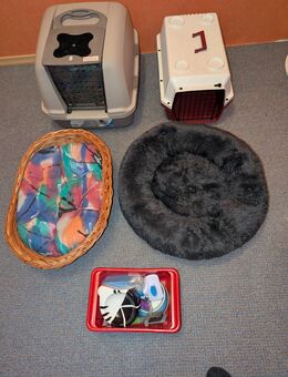 Einsteigerset für eine Katze - Baunatal