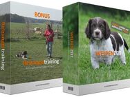 WELPENZEIT - Schritt für Schritt zum tollen Hund Mitgliederbereich und Video-Kurse WELPENZEIT - Schritt für Schritt zum tollen Hund - Hildesheim