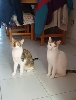 Emmi und Ellie (ALO) - Geisenheim