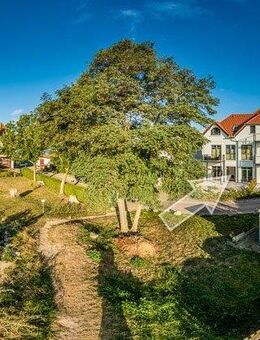 Ferienwohnung mit direktem Ostseeblick - Fehmarn