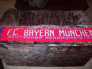 FC Bayern Schal - Erwitte
