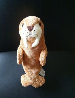 Plüschtiere Seelöwe Anna Club Plush ca. 21cm lang - Essen
