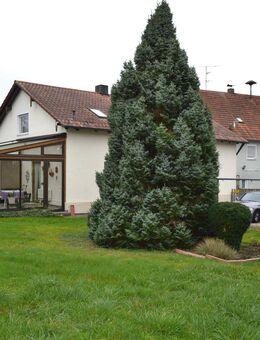 Älteres Landhaus mit großem Garten in schöner Ortslage u. U. auch für Bauträger geeignet - Köfering