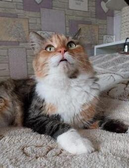 Eine Prinzessin sucht zu Hause - Stuttgart