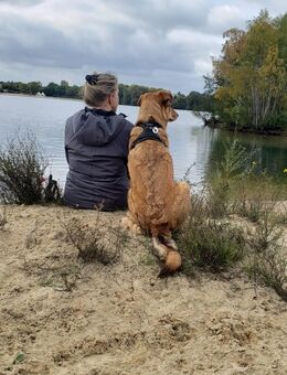 Neues Zuhause gesucht! - Rheinberg