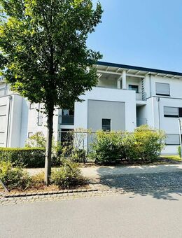 EG-Wohnung, barrierefrei, Garten, TG-Stellplatz, inkl. hochwertiger Küche - Top-Lage Rheinauen - Bonn
