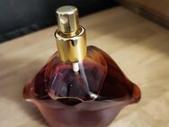 Vintage Salvador Dali Aphrodite eau de Toilette - Rheinberg