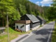 Charmantes Einfamilienhaus in ruhiger Lage im Thüringer Wald! - Neuhaus (Rennweg)