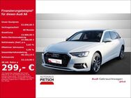 Audi A6, Avant 40 TDI quattro advanced, Jahr 2024 - Melle