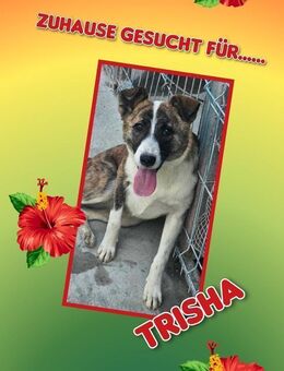 Trisha möchte entdeckt werden! - Nürnberg