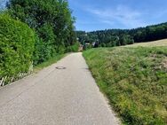 Schönes Baugrundstück in Sasbachwalden - Sasbachwalden