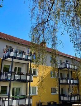 3-Zimmer Wohnung mit frisch verlegten Vinylboden - Dortmund