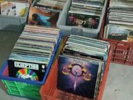 über 500 Vinyl LP´s 80-er Toto Jackson New Wave Rock Pop Metall - Dortmund