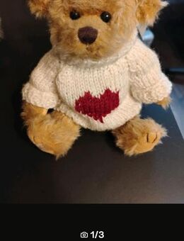 Teddy Bukowski beweglich - Goslar