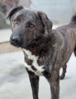 Wunderschöner, lieber OTTO! - Weiterstadt