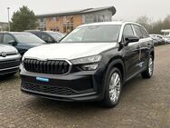 Skoda Kodiaq, Selection, Jahr 2024 - Buchholz (Nordheide)