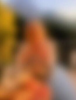 San*** - Frankfurt (Main)