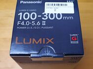 Panasonic LUMIX G VARIO 100-300mm F/4.0-5.6 II Power O.I.S. - Bischberg