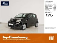 Fiat Panda, 1.0 GSE Hybrid, Jahr 2024 - Pilsach