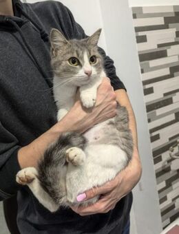 🌼wunderschöne Lena🌼 - Eislingen (Fils)