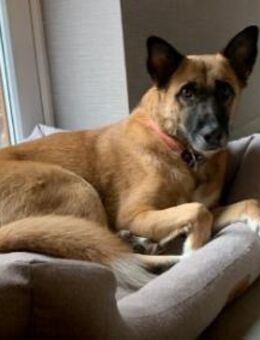 Rumo 🤎 - Kallmünz