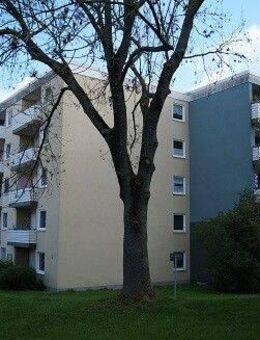 Nur für Senioren! Barrierearmes Umfeld und tolle Freizeitmöglichkeiten - Bochum