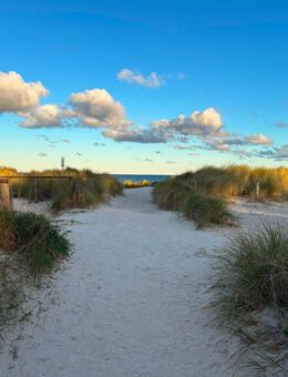 Ein einfacher Mann sucht eine Sie! - Erfurt Zentrum