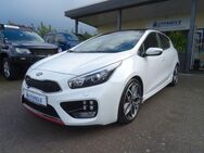 Kia Ceed / Ceed 1.6 T-GDI GT XENON NAVI KAMERA PANO - Oerlinghausen