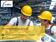 Betriebshandwerker (m/w/d) - Pfungstadt