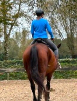 Freundschaft in Bremen - Bremen Zentrum