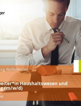 Sachbearbeiter*in Haushaltswesen und Controlling (m/w/d) - Wolfenbüttel