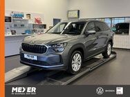 Skoda Kodiaq, 2.0 TDI Selection, Jahr 2024 - Tostedt