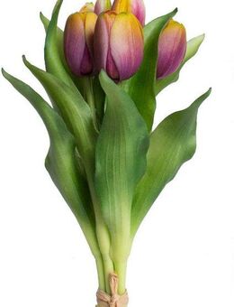 Kunstblume Willa Tulpe, Botanic-Haus, Höhe 32 cm, Tulpenbündel im 7er-Set