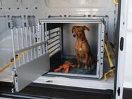 Ford Kleinmetall Hundebox MultiCage Einzelbox *Borgmann* - Krefeld