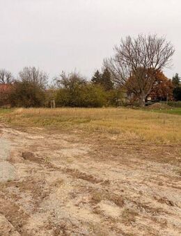 Genießen Sie den Ruhestand in schönster ländlicher Umgebung und dennoch mit guter Anbindung. - Saaleplatte