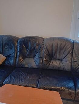 Ledersofa Hocker und Sessel - Zittau