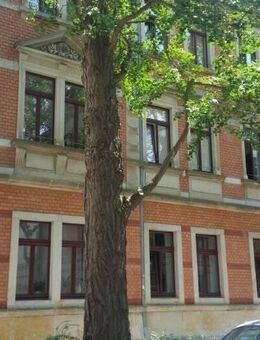 Top sanierte 2 R-Whg in historischem Denkmalgebäude in wunderschöner Gingko-Allee - Dresden