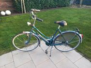 Gazelle 28 Zoll - Wesel