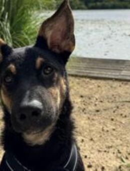 Cosmo wartet auf dich - München