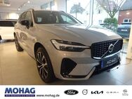 Volvo XC60, Plus Dark B4 FWD -°, Jahr 2024 - Recklinghausen