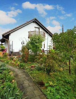 Platz ist für Kind(er), Hund, Katze! - Großenhain