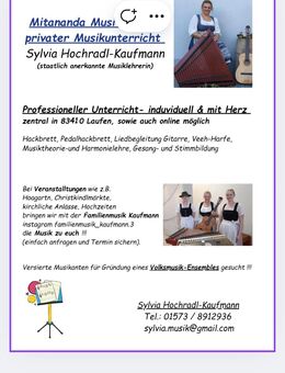 Musikunterricht für Hackbrett / Veeh-Harfe / Gitarre / Gesang - Laufen