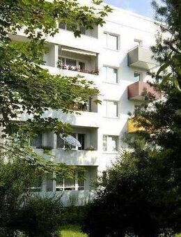 Miet mich - praktische 2-Zimmer-Wohnung - Dresden