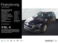 Skoda Octavia, 2.0 TSI Combi Style, Jahr 2024 - Bad Nauheim